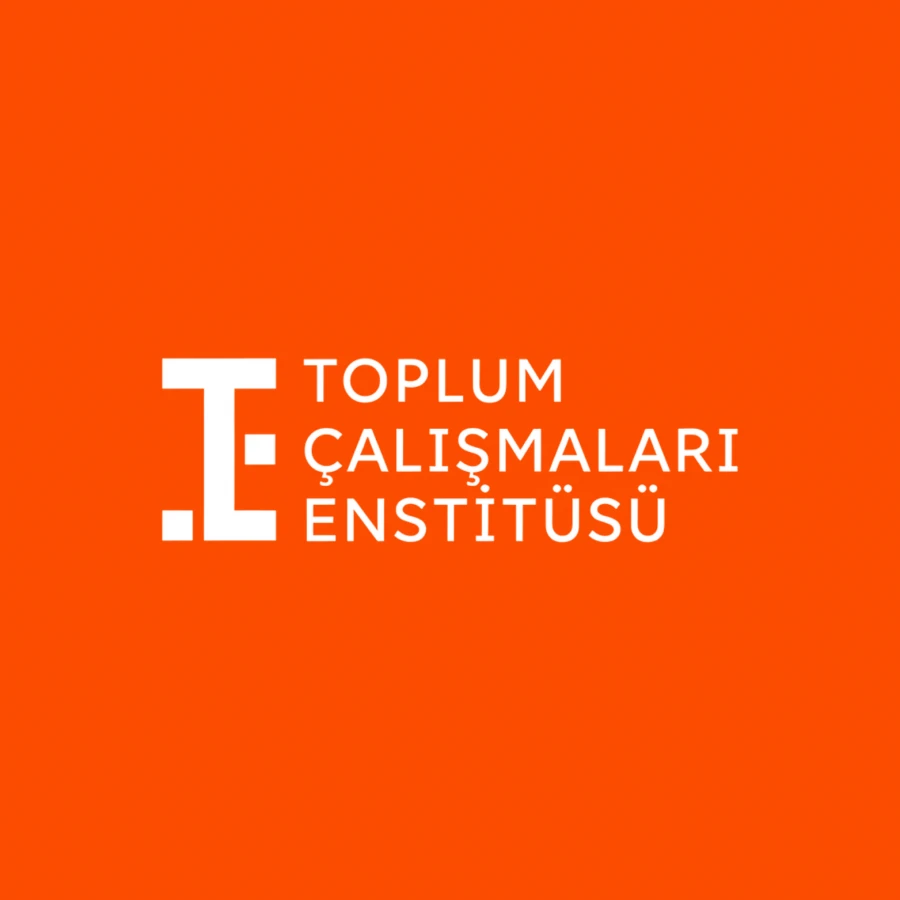 Toplum Çalışmaları Enstitüsü